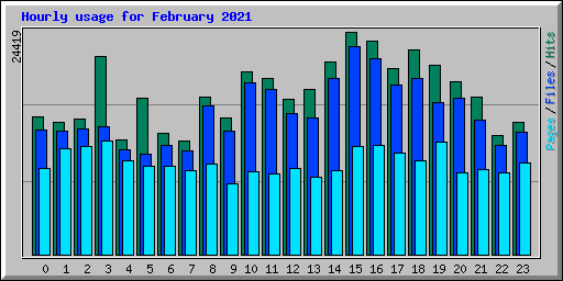 Hourly usage for February 2021