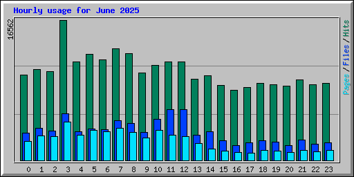 Hourly usage for June 2025