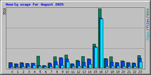 Hourly usage for August 2025